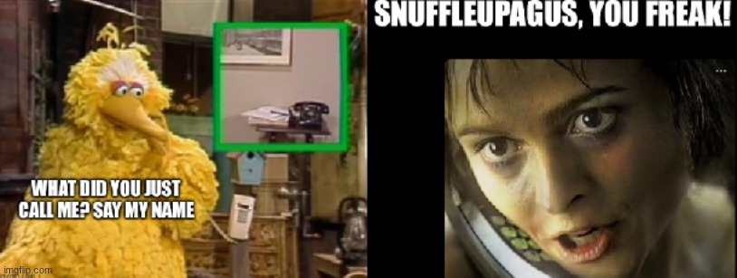 Sesame Street Adults before 1985 | image tagged in sesame street | made w/ Imgflip meme maker