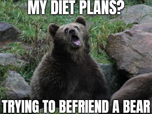Sarcastic Bear | MY DIET PLANS? TRYING TO BEFRIEND A BEAR | image tagged in sarcastic bear | made w/ Imgflip meme maker
