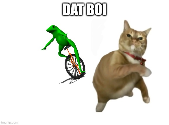 throwing cat new | DAT BOI | image tagged in throwing cat new | made w/ Imgflip meme maker