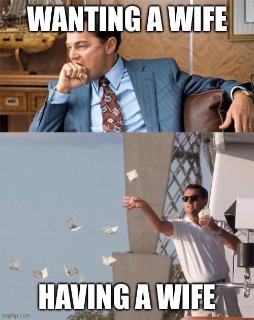 Leo wolf of Wall Street poor rich | WANTING A WIFE; HAVING A WIFE | image tagged in leo wolf of wall street poor rich | made w/ Imgflip meme maker