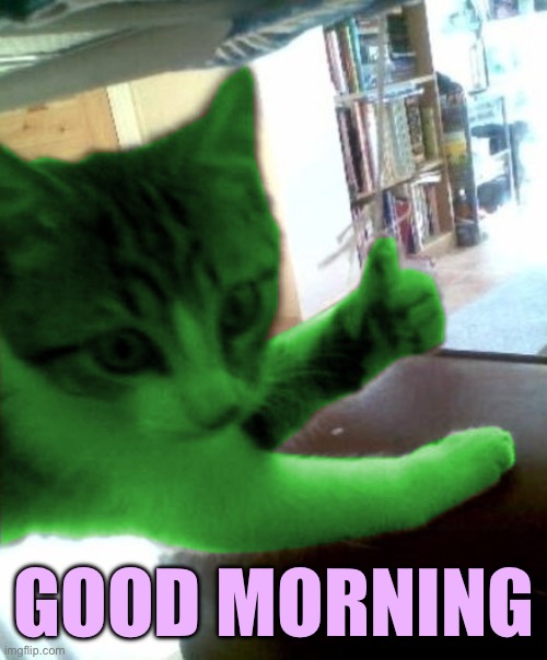 thumbs up RayCat | GOOD MORNING | image tagged in thumbs up raycat | made w/ Imgflip meme maker