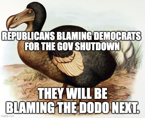 dodo brained magastained monkeys | REPUBLICANS BLAMING DEMOCRATS 
FOR THE GOV SHUTDOWN; THEY WILL BE BLAMING THE DODO NEXT. | image tagged in dodo | made w/ Imgflip meme maker