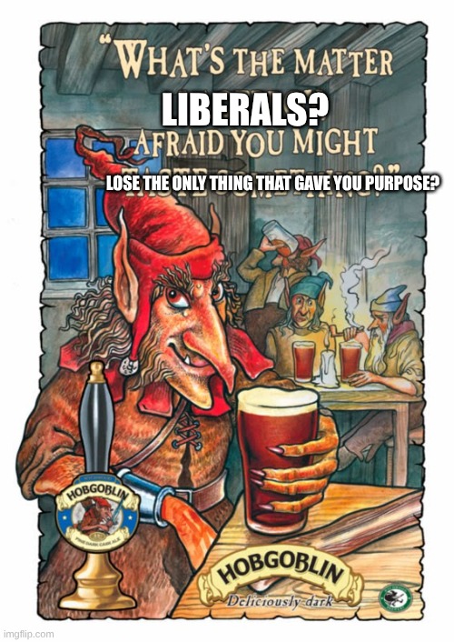 What’s the matter lagerboy | LOSE THE ONLY THING THAT GAVE YOU PURPOSE? LIBERALS? | image tagged in what s the matter lagerboy | made w/ Imgflip meme maker