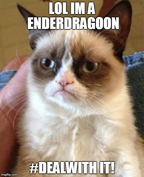 LOL IM A ENDERDRAGOON #DEALWITH IT! | image tagged in memes,grumpy cat | made w/ Imgflip meme maker