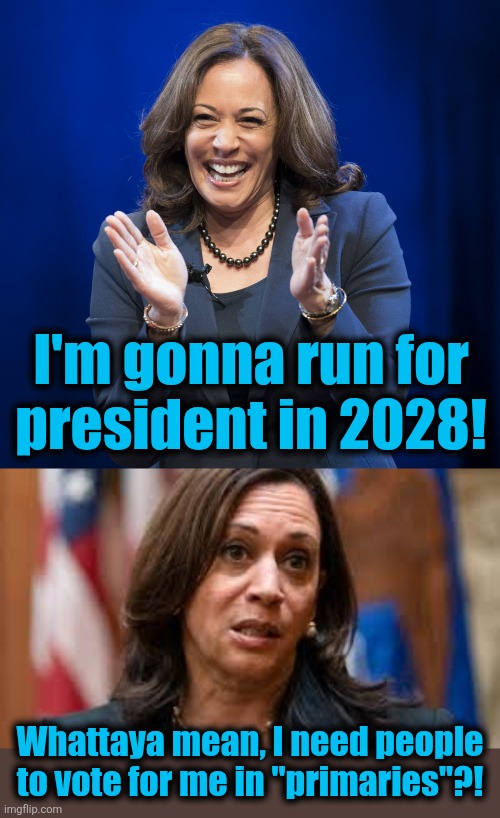 She's never had any voter-selected primary delegates in her life | I'm gonna run for
president in 2028! Whattaya mean, I need people
to vote for me in "primaries"?! | image tagged in kamala harris laughing,kamala confused,democrats,selected not elected,memes,to hell with democracy | made w/ Imgflip meme maker