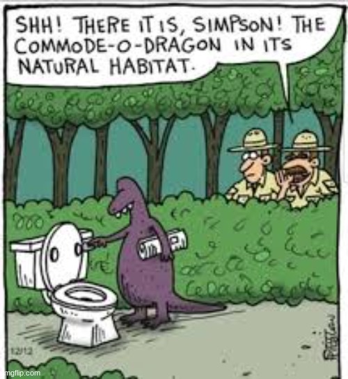 Commode-O-Dragon | image tagged in memes | made w/ Imgflip meme maker