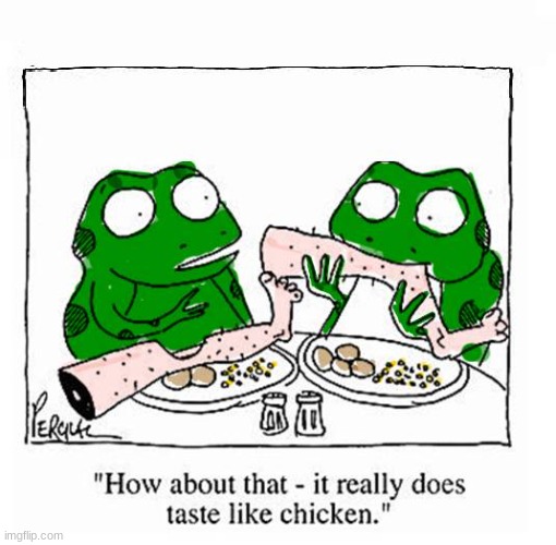 Tastes Like Chicken | image tagged in chicken,frog | made w/ Imgflip meme maker