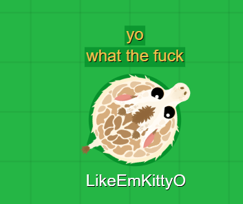 Giraffe WTF Meme Mope Io Blank Meme Template