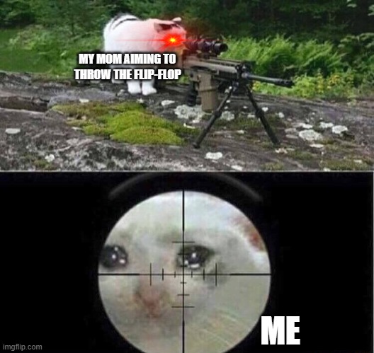 Sniper cat | MY MOM AIMING TO THROW THE FLIP-FLOP; ME | image tagged in sniper cat | made w/ Imgflip meme maker