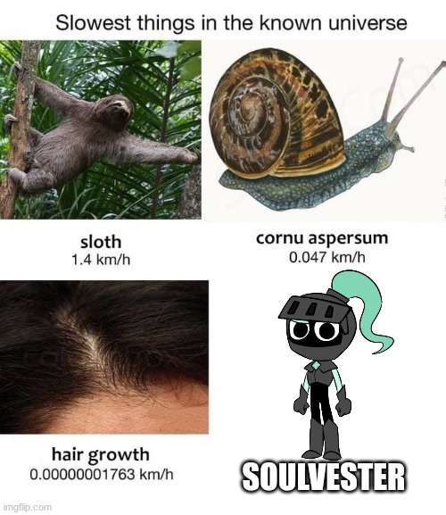 soulvester is fricking slow | SOULVESTER | image tagged in slowest things | made w/ Imgflip meme maker