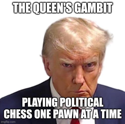 Trump mugshot | THE QUEEN'S GAMBIT; PLAYING POLITICAL CHESS ONE PAWN AT A TIME | image tagged in trump mugshot | made w/ Imgflip meme maker