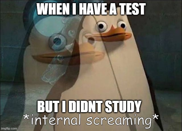 This is not even funny | WHEN I HAVE A TEST; BUT I DIDNT STUDY | image tagged in funny,fun,memes | made w/ Imgflip meme maker
