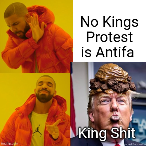 Drake Hotline Bling Meme | No Kings Protest is Antifa King Shit | image tagged in memes,drake hotline bling | made w/ Imgflip meme maker