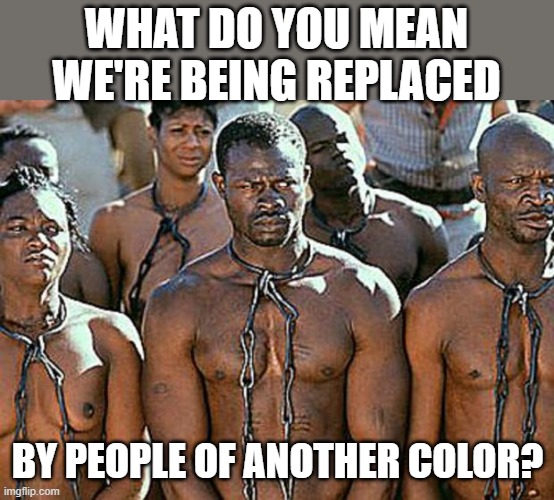 slavery | WHAT DO YOU MEAN WE'RE BEING REPLACED BY PEOPLE OF ANOTHER COLOR? | image tagged in slavery | made w/ Imgflip meme maker
