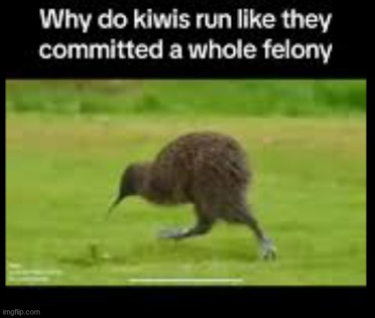 Image Title | made w/ Imgflip meme maker