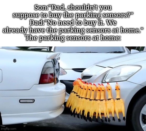 Better than nothing, I guess. | Son:"Dad, shouldn't you suppose to buy the parking sensors?"
Dad:"No need to buy it. We already have the parking sensors at home."
The parking sensors at home: | image tagged in at home,car | made w/ Imgflip meme maker