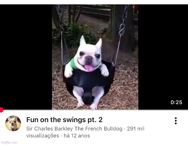 We beating our What in the shower?? | image tagged in memes,shitpost,doggy | made w/ Imgflip meme maker