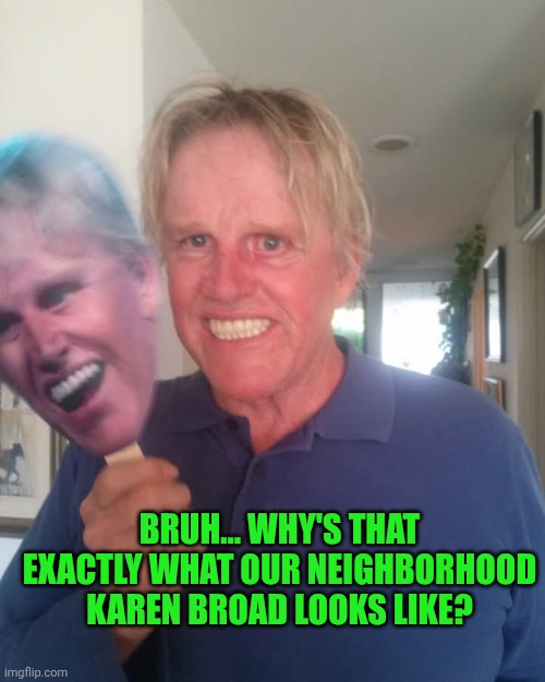 Funny | BRUH... WHY'S THAT EXACTLY WHAT OUR NEIGHBORHOOD KAREN BROAD LOOKS LIKE? | image tagged in funny,karens,karen,mega karen,neighborhood,halloween costume | made w/ Imgflip meme maker