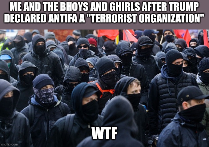 Antifa declared terrorist group | ME AND THE BHOYS AND GHIRLS AFTER TRUMP DECLARED ANTIFA A "TERRORIST ORGANIZATION"; WTF | image tagged in antifa declared terrorist group | made w/ Imgflip meme maker