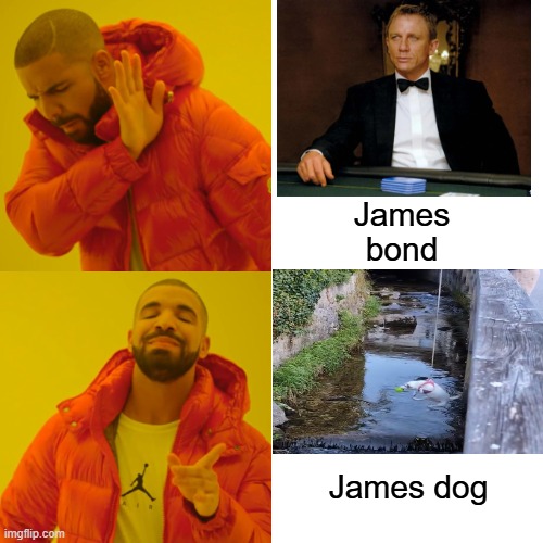 james dog | James bond; James dog | image tagged in memes,drake hotline bling | made w/ Imgflip meme maker