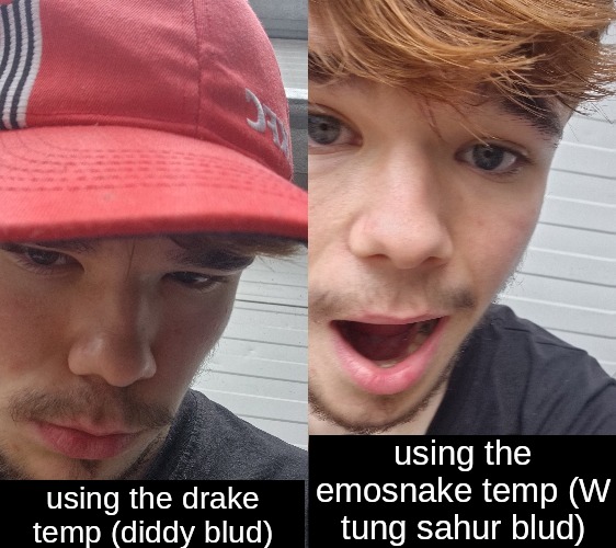 using the emosnake temp (W tung sahur blud); using the drake temp (diddy blud) | made w/ Imgflip meme maker