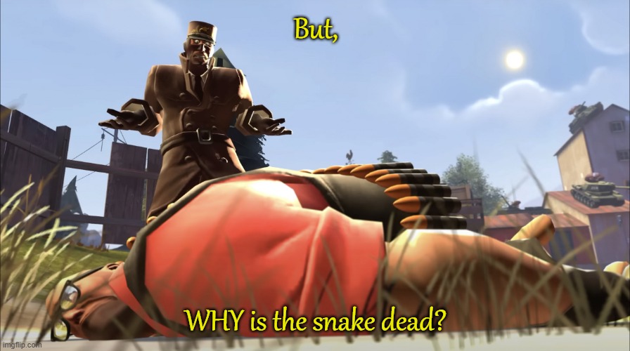 Why is the Heavy dead | But, WHY is the snake dead? | image tagged in why is the heavy dead | made w/ Imgflip meme maker