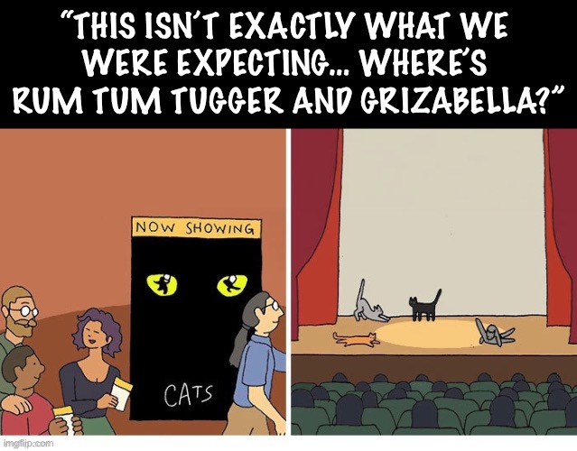 Must be an off-Broadway production… | “THIS ISN’T EXACTLY WHAT WE 
WERE EXPECTING… WHERE’S 
RUM TUM TUGGER AND GRIZABELLA?” | image tagged in cats,comics,play,audience,wrong cats,off broadway | made w/ Imgflip meme maker