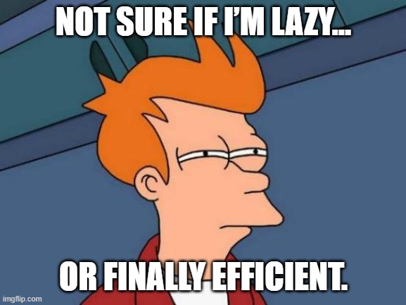 Lazy or Efficient | NOT SURE IF I’M LAZY…; OR FINALLY EFFICIENT. | image tagged in memes,futurama fry | made w/ Imgflip meme maker