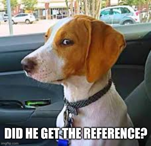 Sideways Glance Dog | DID HE GET THE REFERENCE? | image tagged in sideways glance dog | made w/ Imgflip meme maker