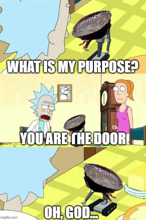 IYKYK - The Door-Headed Ant | image tagged in funny,nature,memes,shawnljohnson,rick and morty,what is my purpose | made w/ Imgflip meme maker