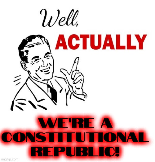 Well Actually | WE’RE A CONSTITUTIONAL REPUBLIC! | image tagged in well actually | made w/ Imgflip meme maker