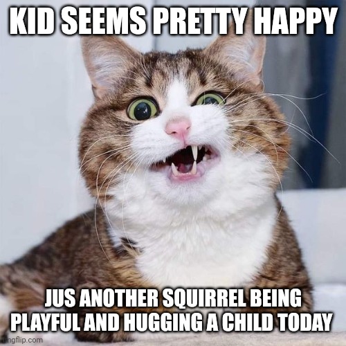 confused cat | KID SEEMS PRETTY HAPPY JUS ANOTHER SQUIRREL BEING PLAYFUL AND HUGGING A CHILD TODAY | image tagged in confused cat | made w/ Imgflip meme maker