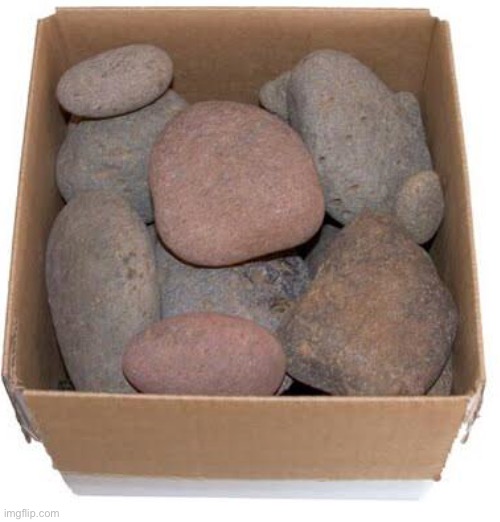 Box of rocks | image tagged in box of rocks | made w/ Imgflip meme maker