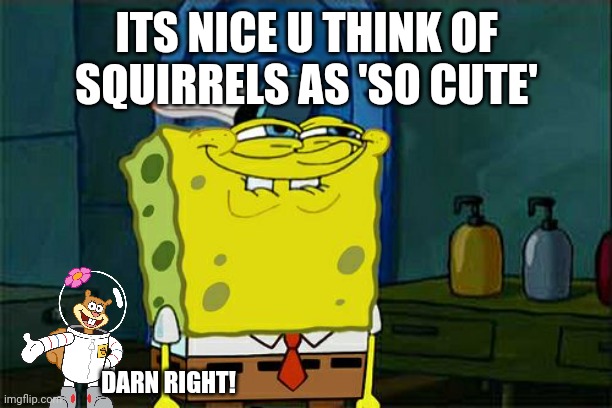 Don't You Squidward Meme | ITS NICE U THINK OF SQUIRRELS AS 'SO CUTE' DARN RIGHT! | image tagged in memes,don't you squidward | made w/ Imgflip meme maker