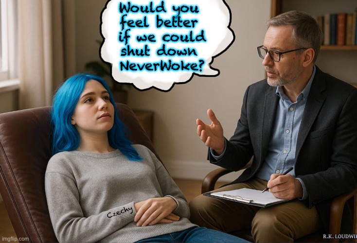 SILENCE THEM! | Would you
feel better
 if we could
shut down
 NeverWoke? Czechy | image tagged in memes,toddlers must be pampered n catered to,otherwise waaaa waaaaa,tantrum,censeoship is the answer | made w/ Imgflip meme maker
