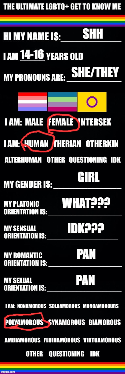 The ultimate LGBTQ+ get to know me | SHH; 14-16; SHE/THEY; GIRL; WHAT??? IDK??? PAN; PAN | image tagged in the ultimate lgbtq get to know me | made w/ Imgflip meme maker