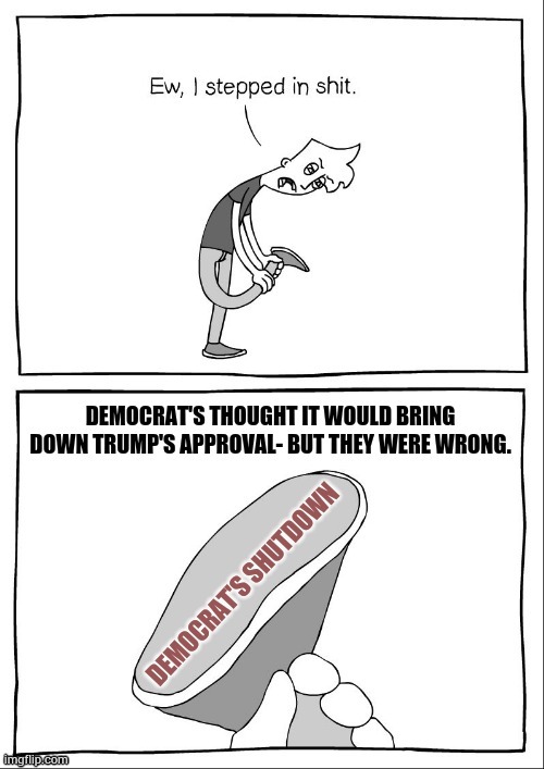 Another Mistake By Democrats | image tagged in memes,democrat,shutdown,hurt,donald trump,not working | made w/ Imgflip meme maker