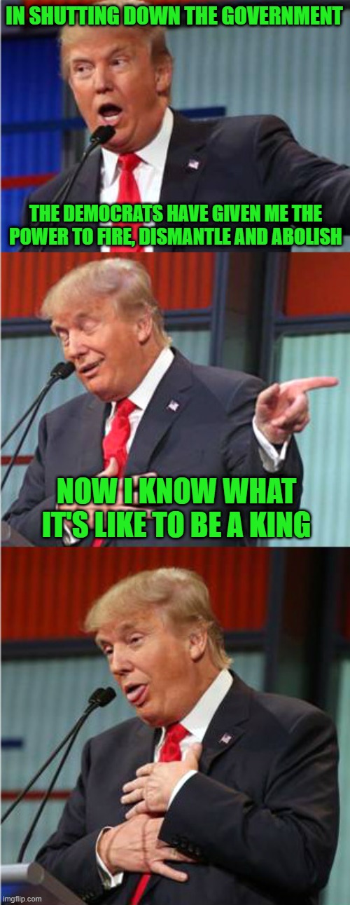 Bad Pun Trump | IN SHUTTING DOWN THE GOVERNMENT; THE DEMOCRATS HAVE GIVEN ME THE POWER TO FIRE, DISMANTLE AND ABOLISH; NOW I KNOW WHAT IT'S LIKE TO BE A KING | image tagged in bad pun trump | made w/ Imgflip meme maker