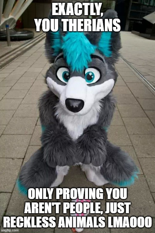 Furry | EXACTLY, YOU THERIANS; ONLY PROVING YOU AREN'T PEOPLE, JUST RECKLESS ANIMALS LMAOOO | image tagged in furry | made w/ Imgflip meme maker