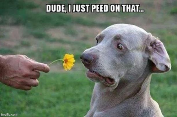 Eww | image tagged in repost | made w/ Imgflip meme maker