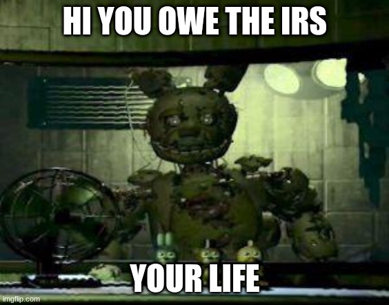 FNAF Springtrap in window | HI YOU OWE THE IRS; YOUR LIFE | image tagged in fnaf springtrap in window | made w/ Imgflip meme maker