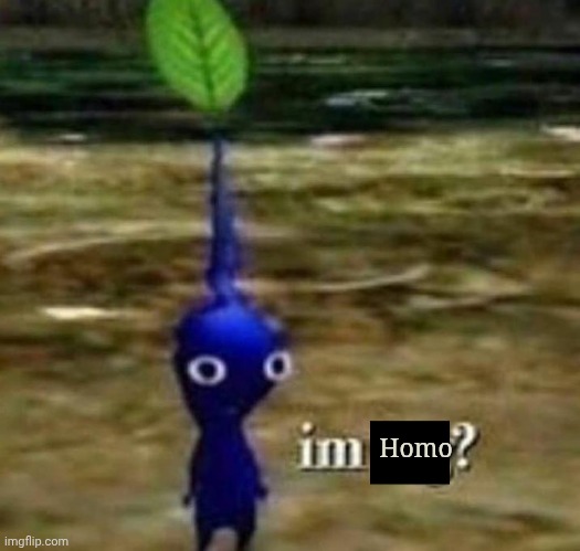 Homo | made w/ Imgflip meme maker