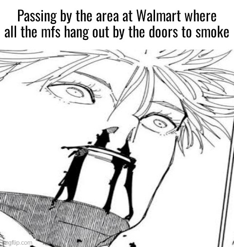 Passing by the area at Walmart where all the mfs hang out by the doors to smoke | made w/ Imgflip meme maker