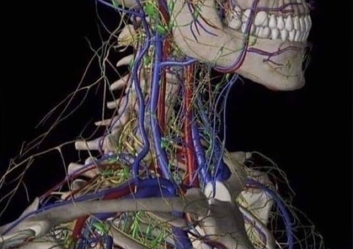 cable management Blank Meme Template