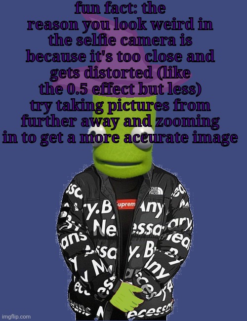 SPOOKY epilektoi drip | fun fact: the reason you look weird in the selfie camera is because it's too close and gets distorted (like the 0.5 effect but less)
try taking pictures from further away and zooming in to get a more accurate image | image tagged in spooky epilektoi drip | made w/ Imgflip meme maker