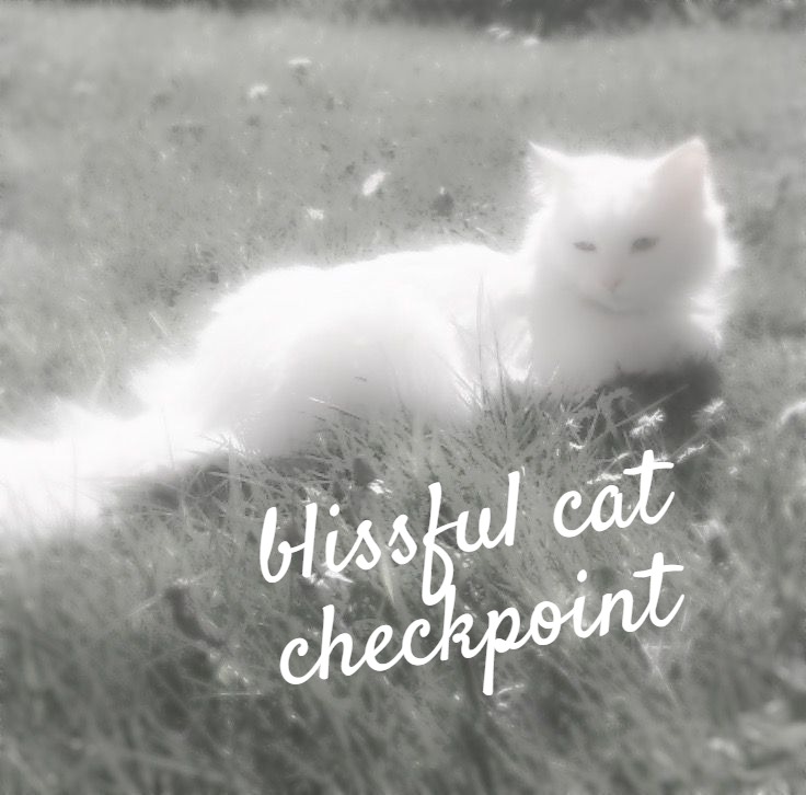 blissful cat
checkpoint | made w/ Imgflip meme maker