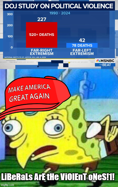 LiBeRaLs ArE tHe ViOlEnT oNeS!1! | image tagged in triggerpaul | made w/ Imgflip meme maker