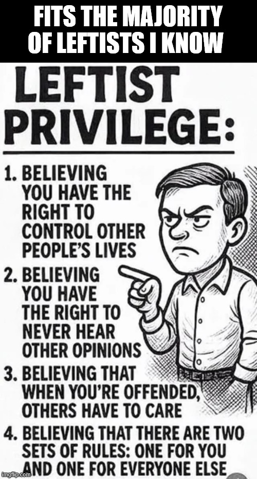 Leftist privilege | FITS THE MAJORITY OF LEFTISTS I KNOW | image tagged in leftist,privilege | made w/ Imgflip meme maker