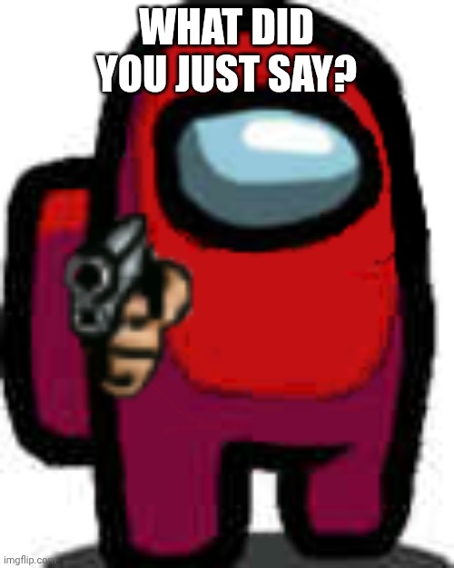 red among us guy with a gun | WHAT DID YOU JUST SAY? | image tagged in red among us guy with a gun | made w/ Imgflip meme maker
