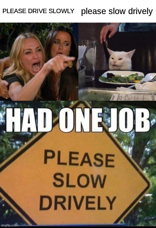 Cat meme | PLEASE DRIVE SLOWLY; please slow drively | image tagged in memes,woman yelling at cat | made w/ Imgflip meme maker